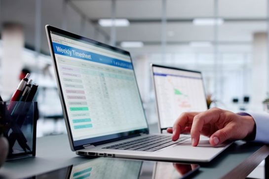 Person Reviewing Timesheets On Laptop